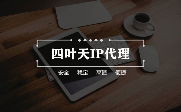 【张北代理IP】如何快速搭建代理IP？怎么检查代理的效果？